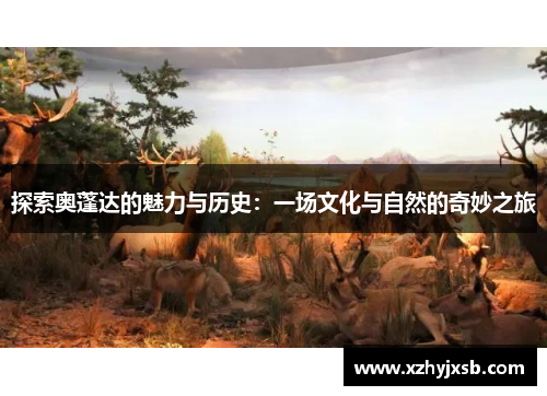 探索奥蓬达的魅力与历史：一场文化与自然的奇妙之旅
